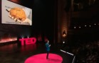 TEDWomen – Wendy Suzuki